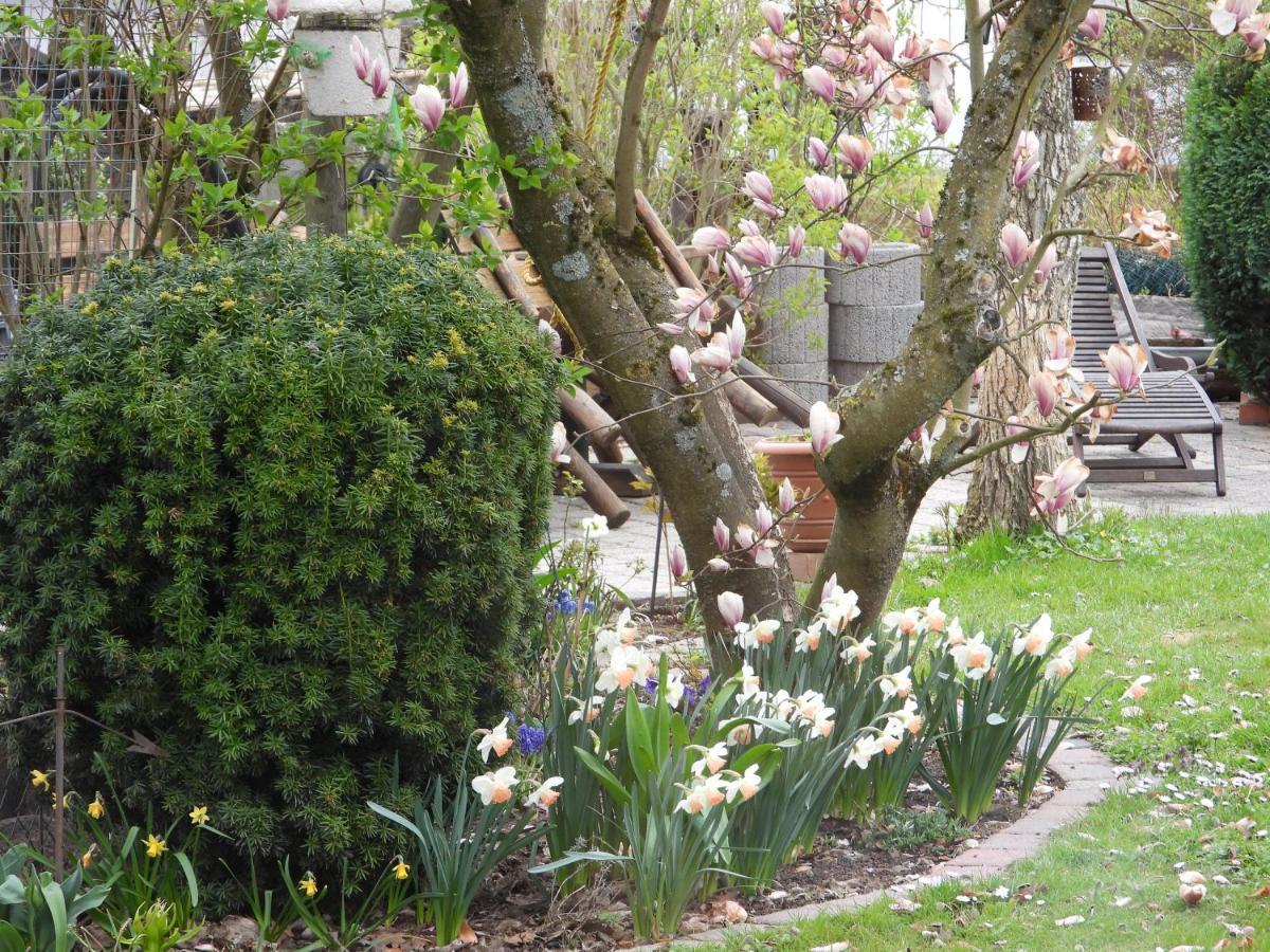 Ferienwohnung "Off Born" Familie Bremm Zell an der Mosel Exterior foto